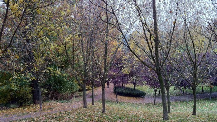 Herido tras recibir varias puñaladas de dos encapuchados en un parque de Valladolid