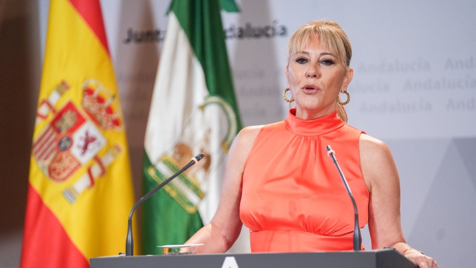 El primer consejo de Gobierno de la Junta con Vox solicita el fondo de solidaridad a Europa por el incendio de Almería