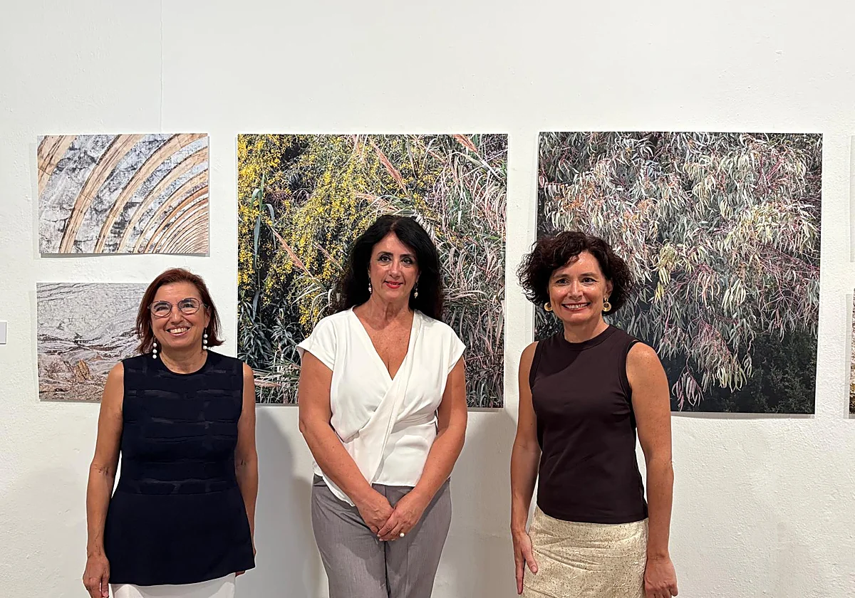 Vélez-Málaga abre 'Petricor', una exposición dual sobre naturaleza y arquitectura