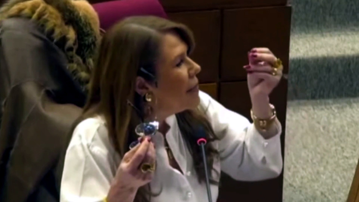 La senadora paraguaya Celeste Amarilla... ¡se viste con los colores de España!