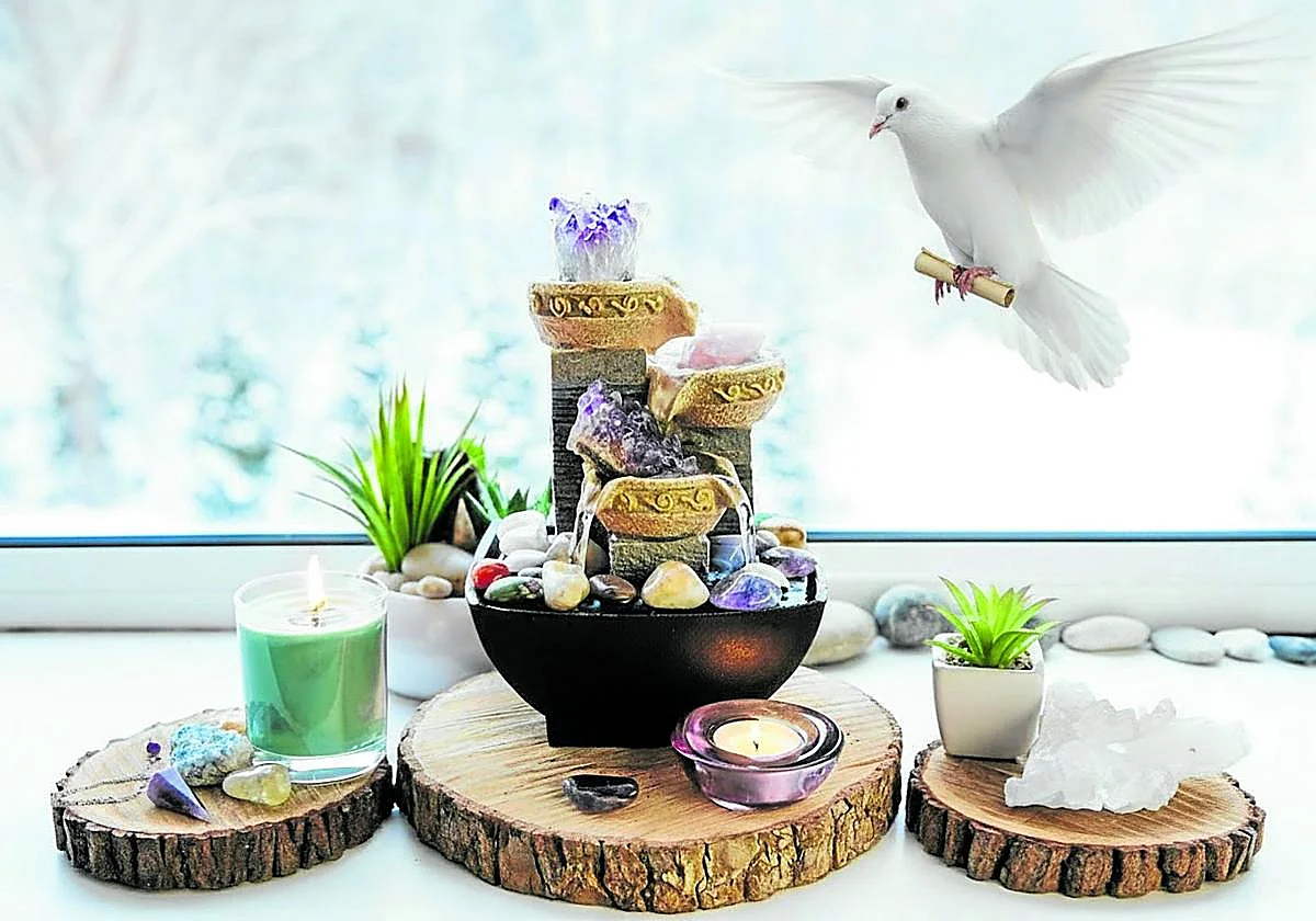 ¿Hay ciencia detrás del feng shui? La respuesta está en las palomas mensajeras