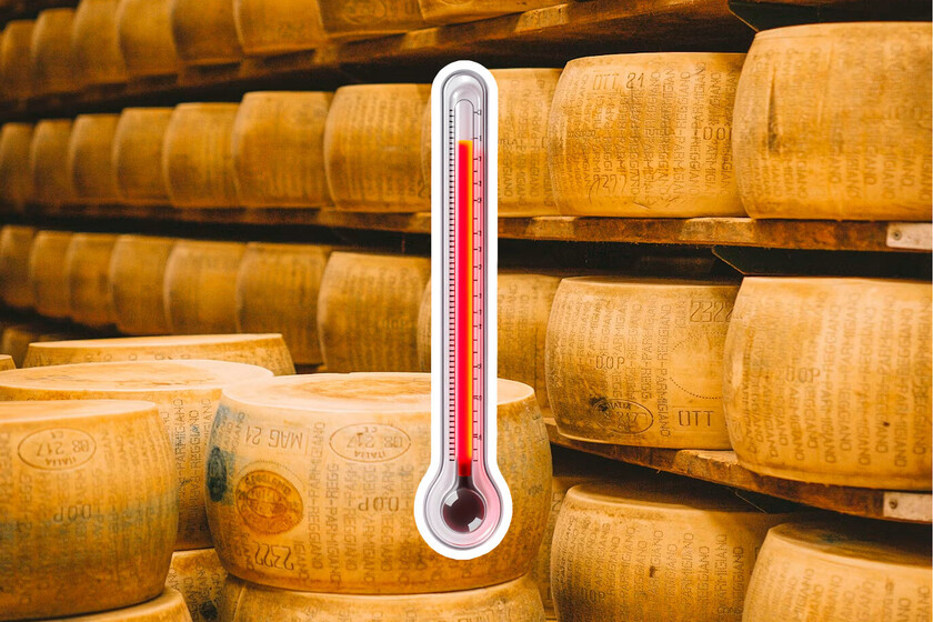 "No queremos ser la última generación en comerlo": el calor extremo ha puesto en peligro de extinción al queso parmesano