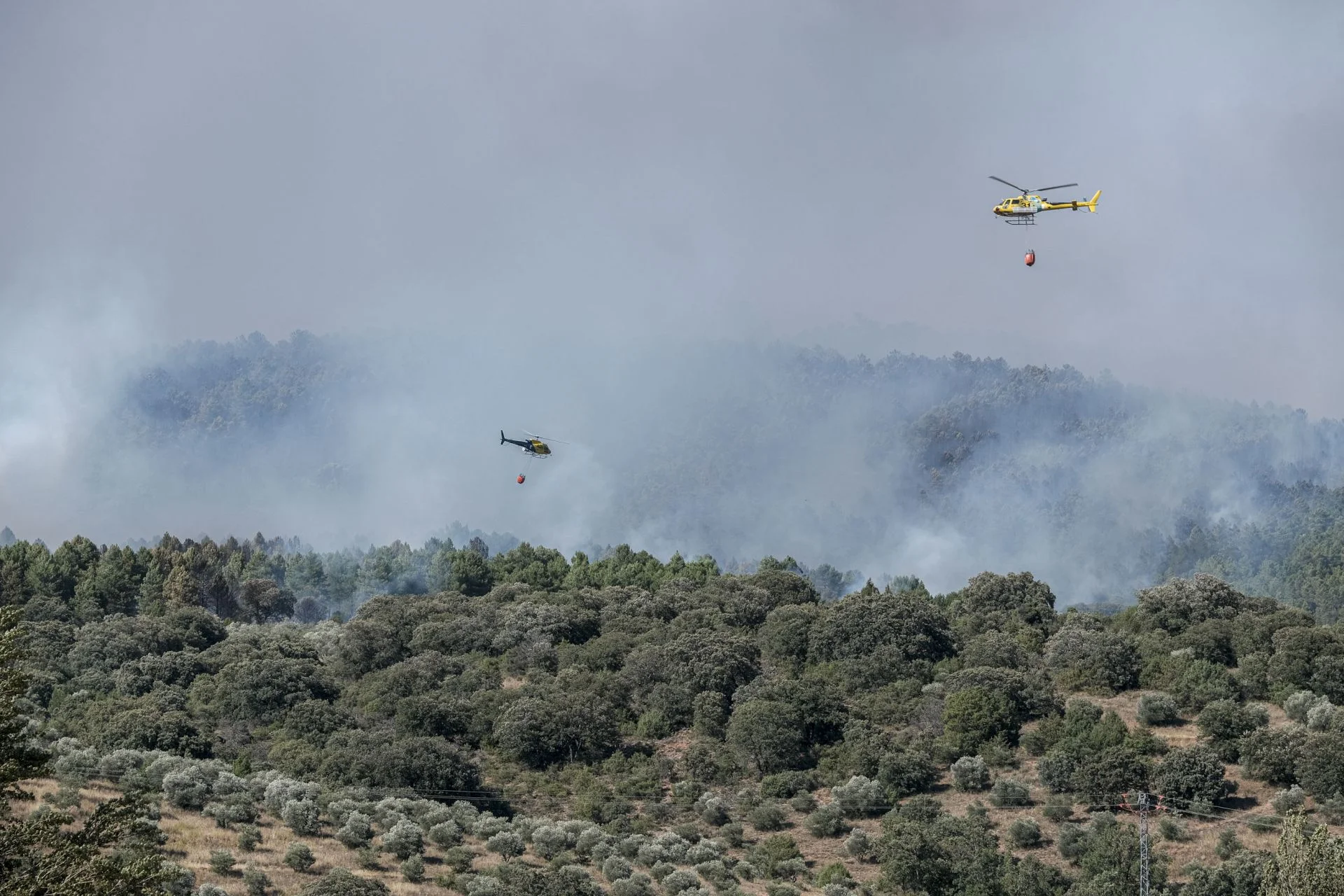 Siete municipios evacuados por un incendio forestal que afecta a 2.000 hectáreas en Guadalajara