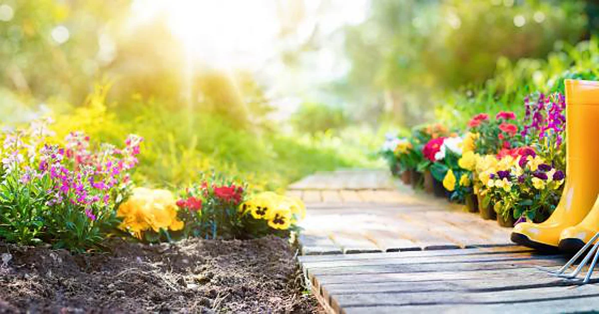 La lista de verano (II)