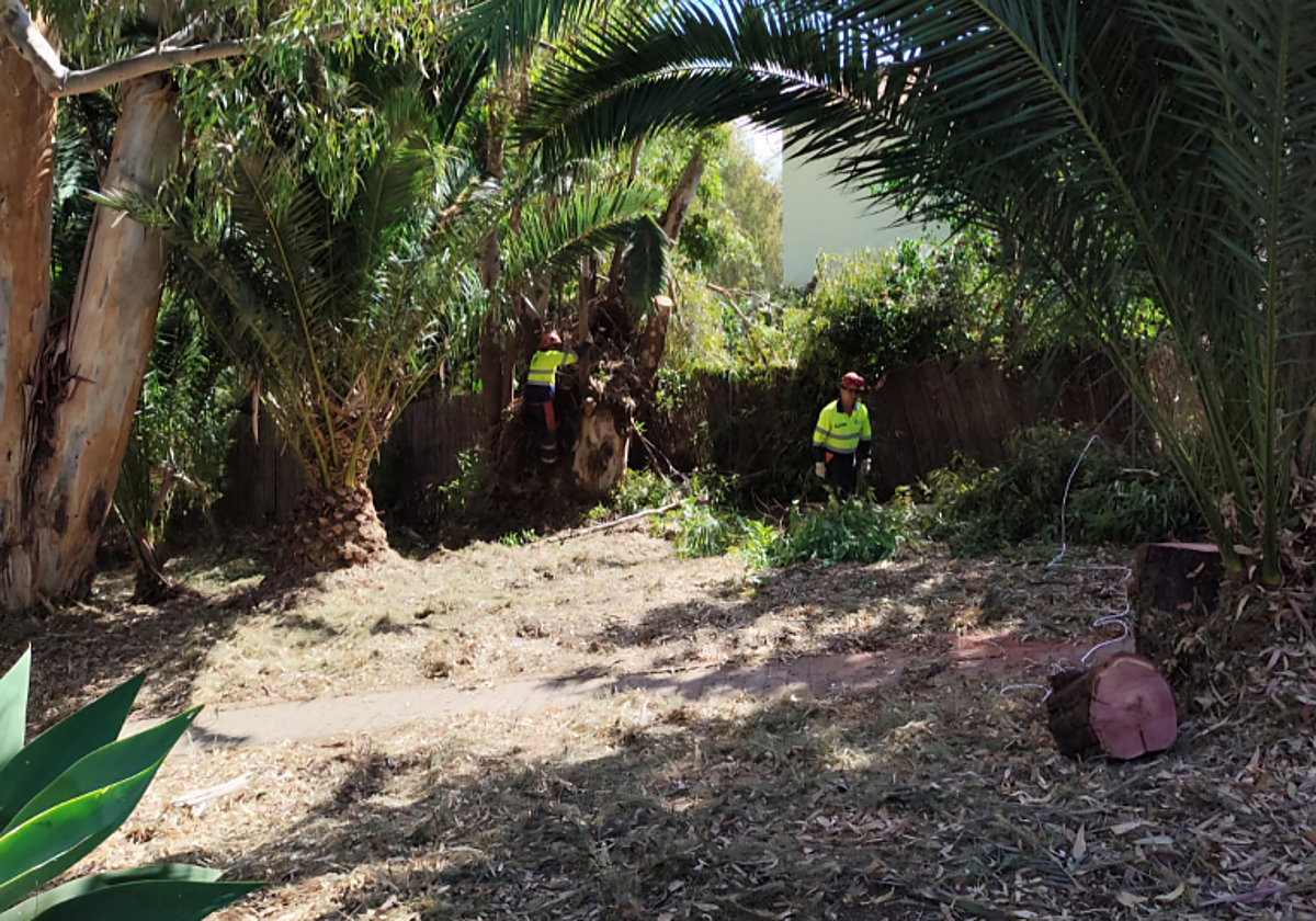 Benalmádena completes wildfire prevention measures ahead of high-risk season