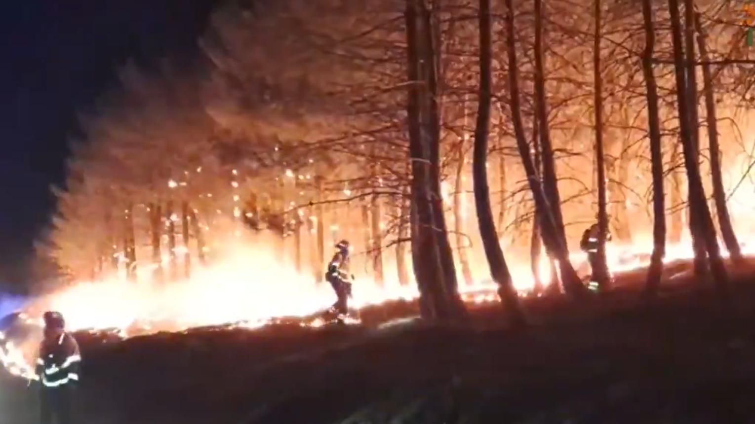 El incendio de La Mierla ya ha arrasado 13.000 hectáreas y la Junta planea un plan de recuperación de la zona