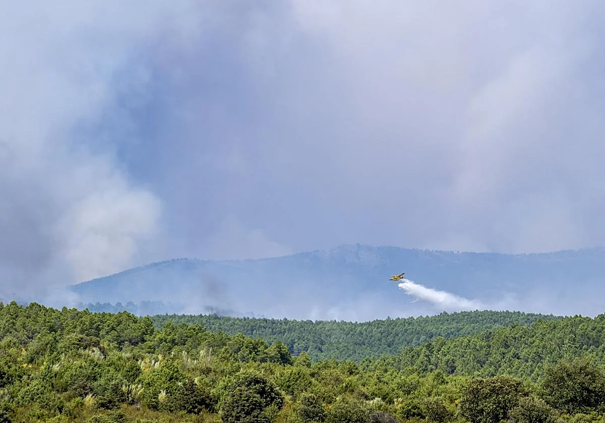 El incendio forestal de Guadalajara quemará más de 26.000 hectáreas aunque el operativo está «triunfando»