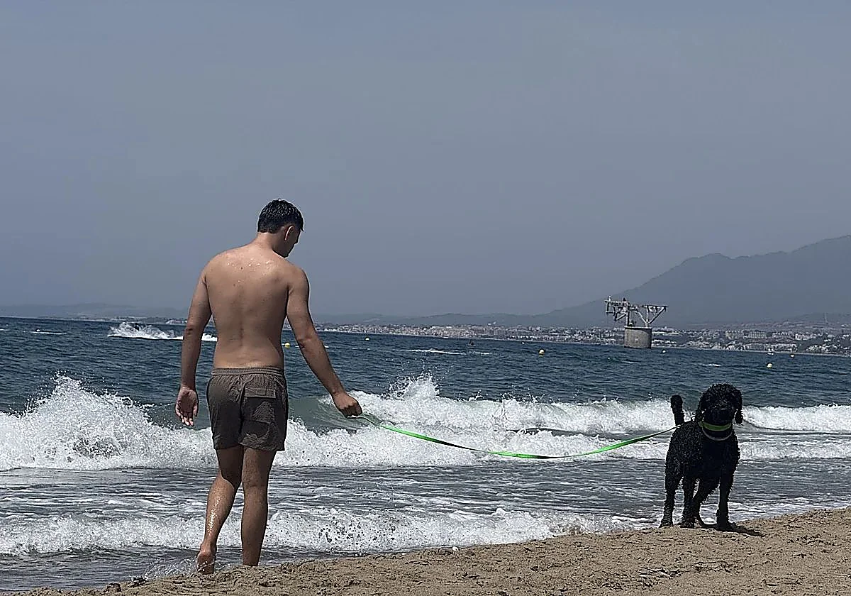 Marbella steps up patrols to enforce rules at dog-friendly beaches