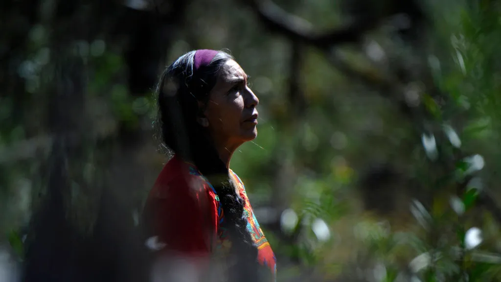 De redes sociales al territorio: la violencia digital contra defensores ambientales en México