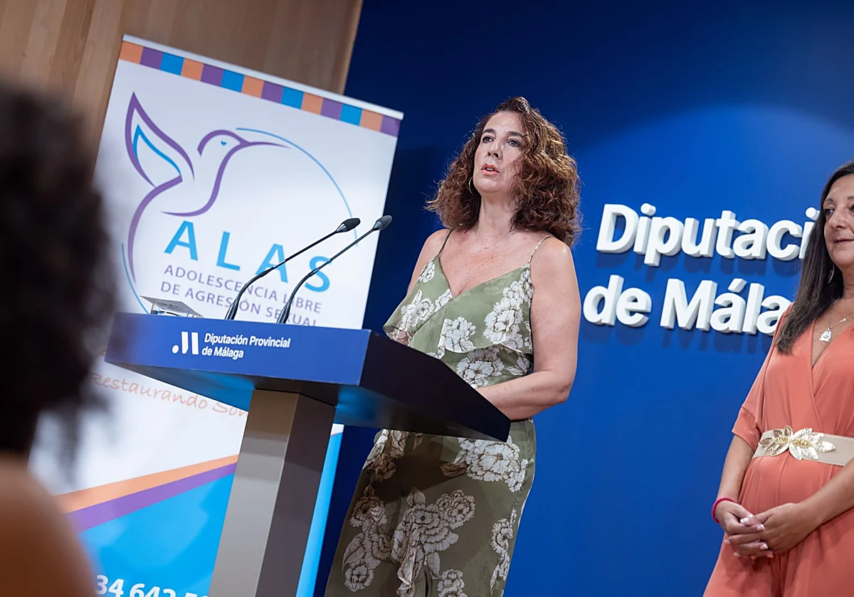 La Diputación acogerá una jornada técnica de la Asociación ALAS sobre la protección de la infancia