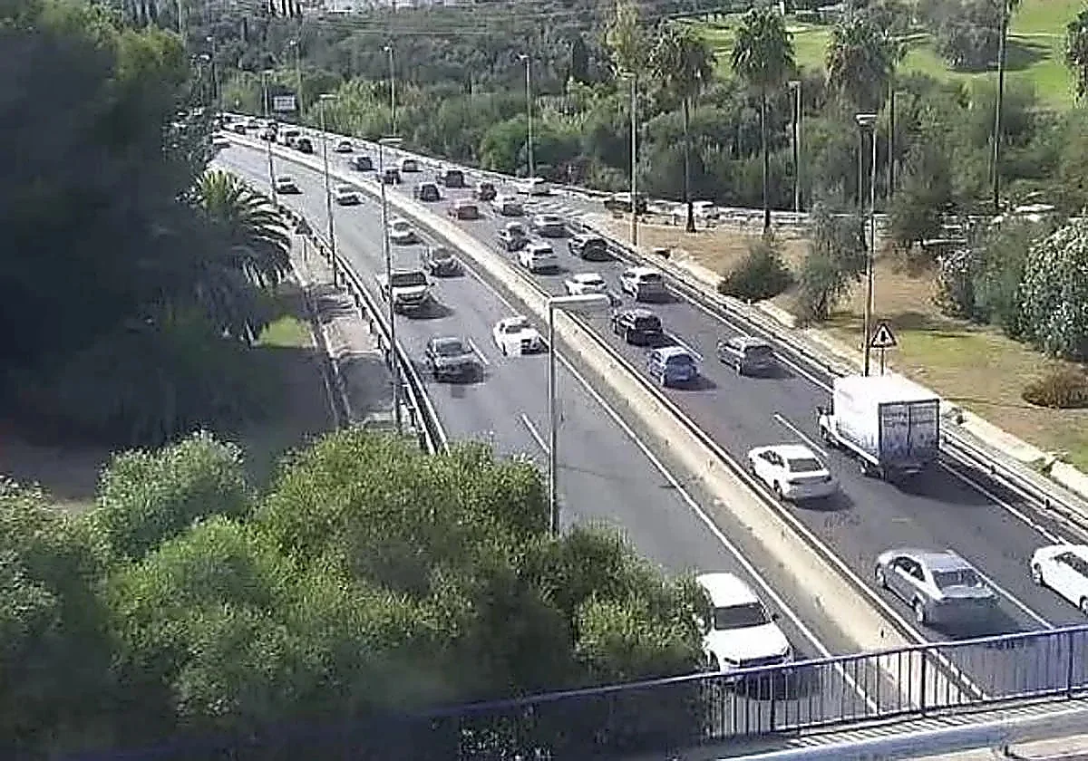 Driver gets fatally hit by car while getting out of his broken-down lorry on A-7 motorway in Marbella