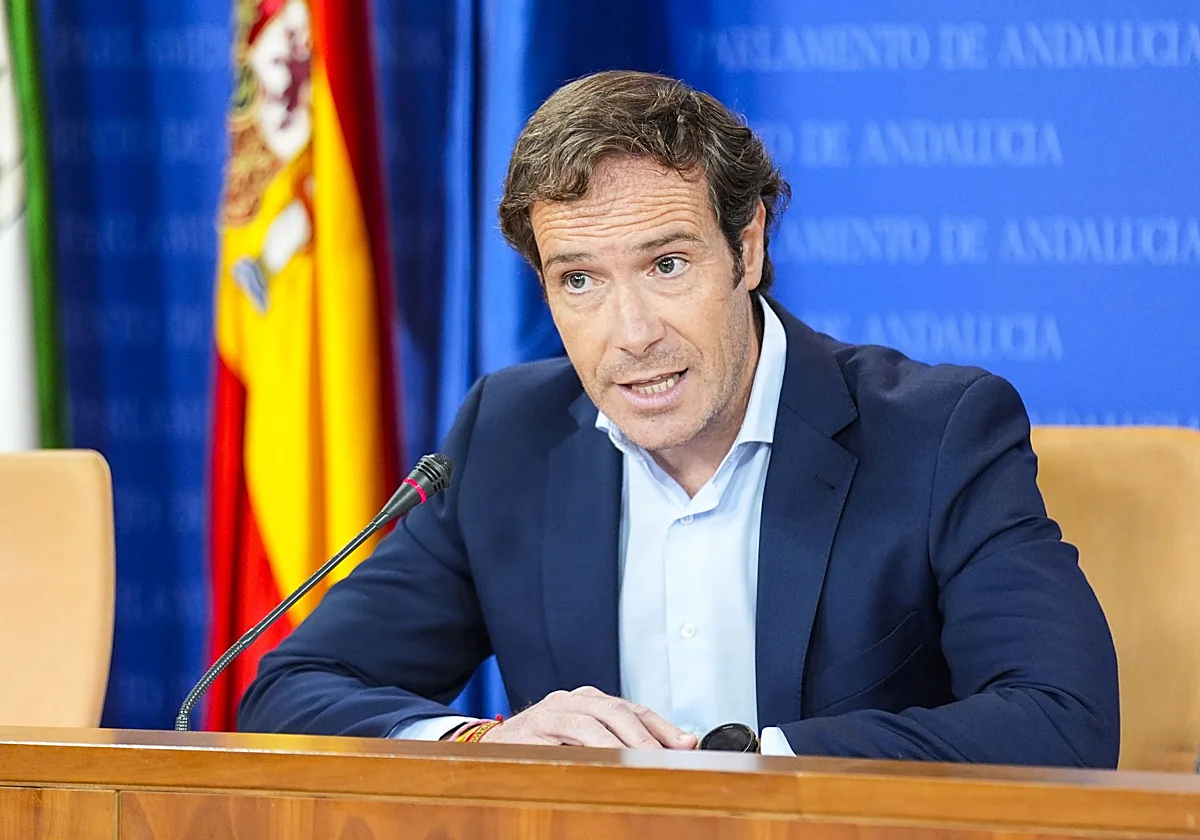 La nueva ola de asesinatos machistas activa una ola de reproches en el Parlamento