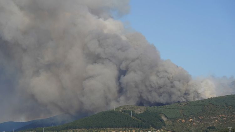 Sube a nivel 2 el incendio en Villaverde de los Cestos (León): la Junta ordena desalojar dos pueblos y solicita la UME