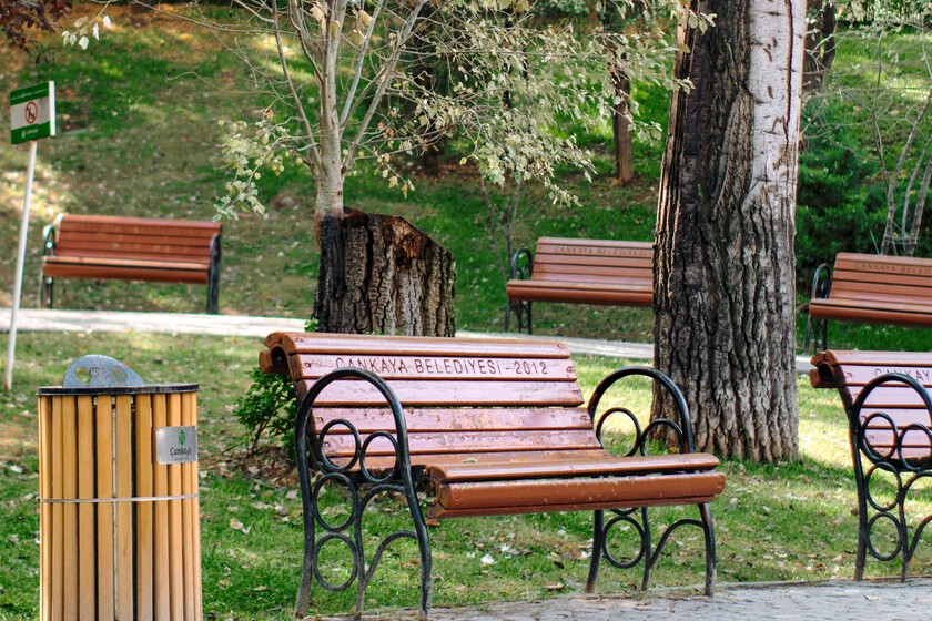 Harto de la falta de mantenimiento, un vecino de Mataró se puso a plantar árboles por su cuenta. Resultado: más de 1.700 euros de multa