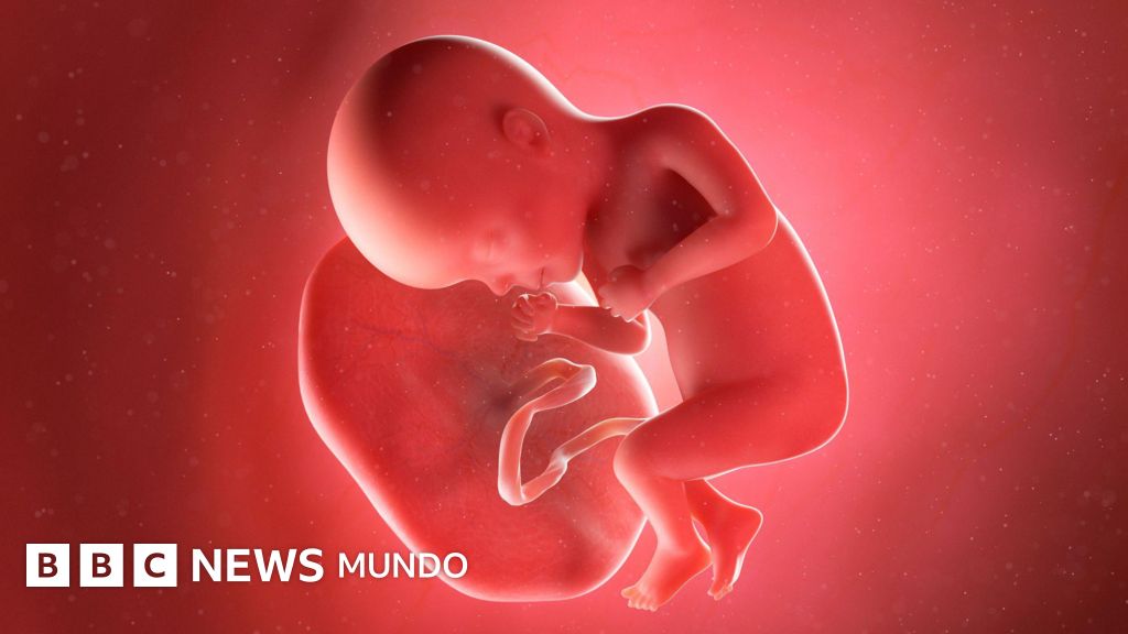 Por qué existe el negocio del tráfico de placenta humana