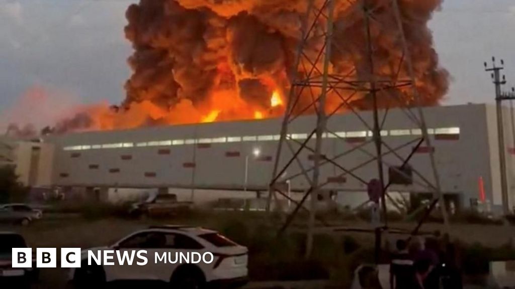Por qué Ucrania está atacando con tanta fuerza Wildberries, el equivalente ruso de Amazon