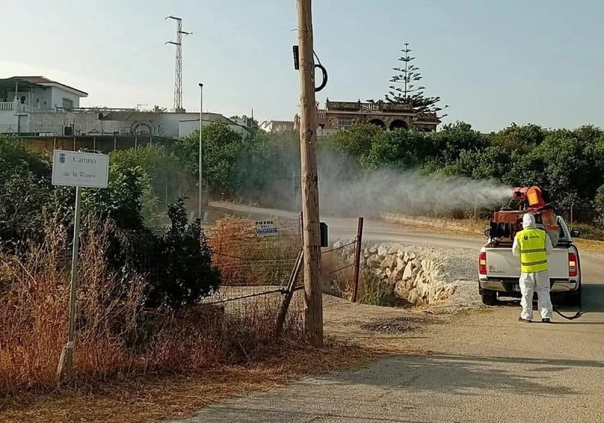 Decretan a Fuengirola y Las Lagunas como áreas en alerta tras detectar mosquitos con el virus del Nilo occidental