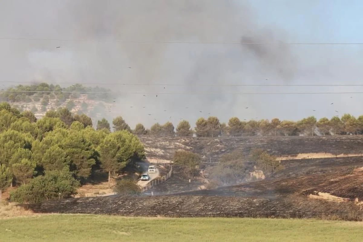 Un incendio en Valladolid devora hectáreas de pinar y moviliza a los militares al adentrarse en el campo de tiro