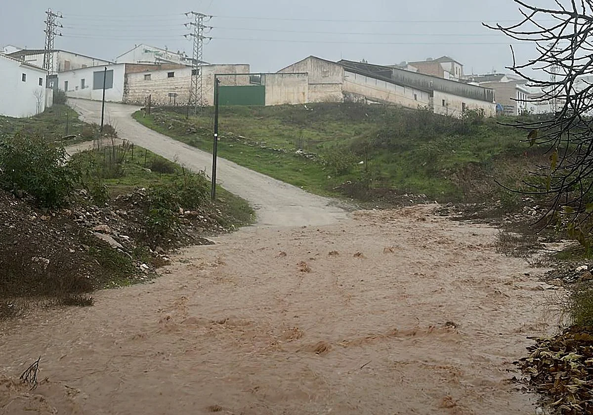 La fuerte tromba de agua ya deja varias incidencias en el interior de la provincia de Málaga