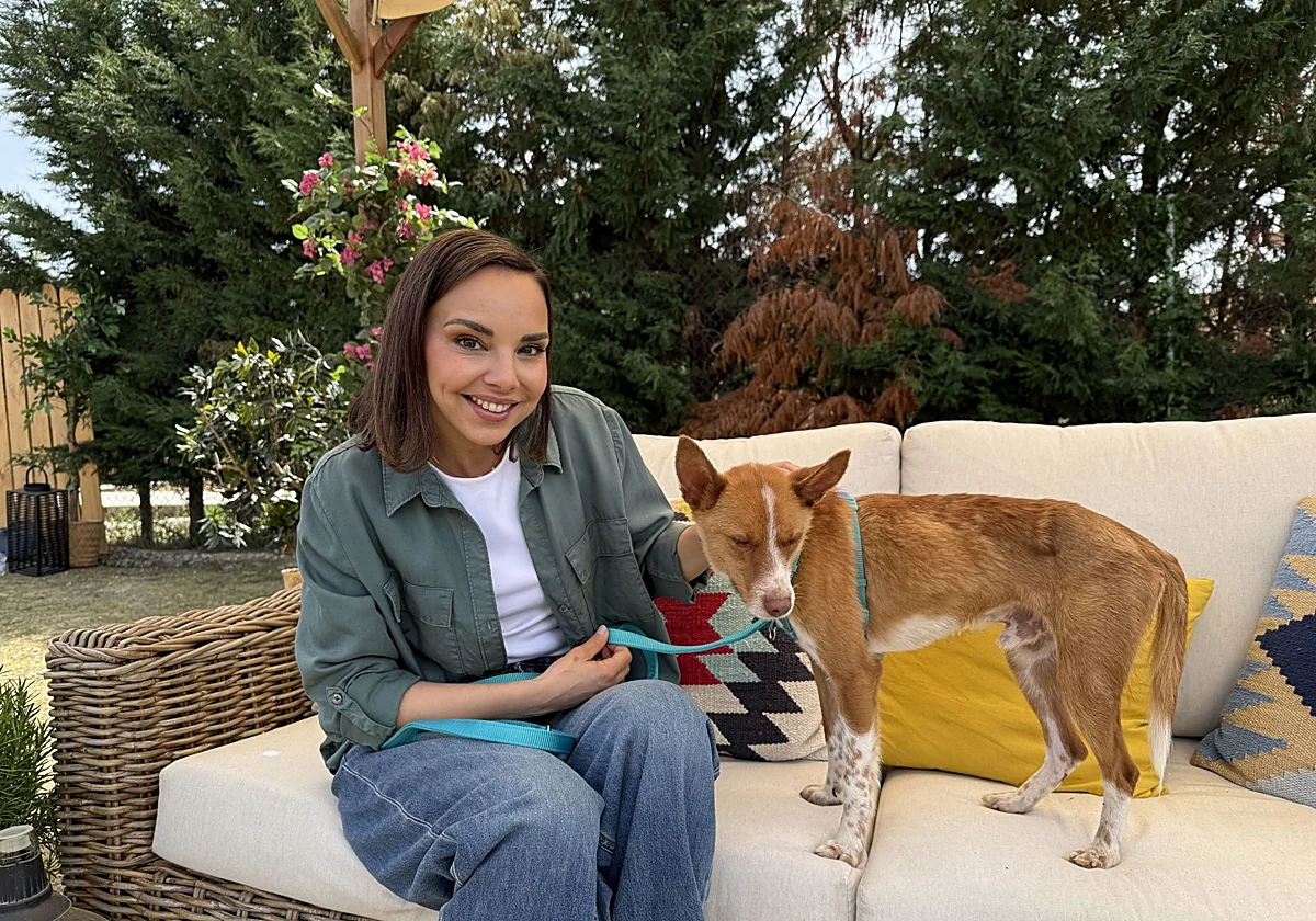 Chenoa explica la razón de ser de 'Dog House': «En España hay 300.000 abandonos de animales al año»