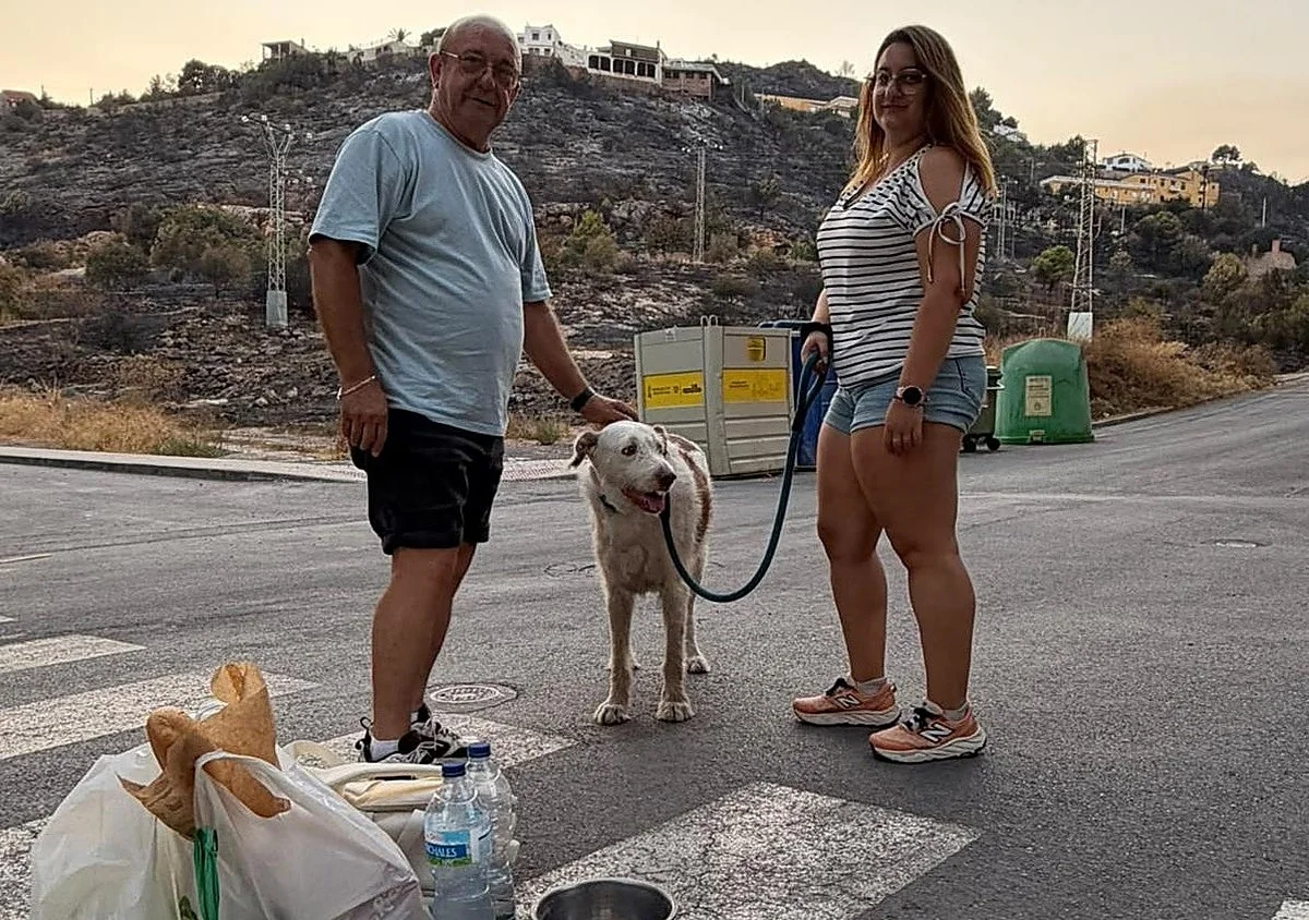 Los primeros evacuados del incendio en volver a la Vall d'Uixó (Castellón): «Huele todo a humo. Tendré que dormir con mascarilla»