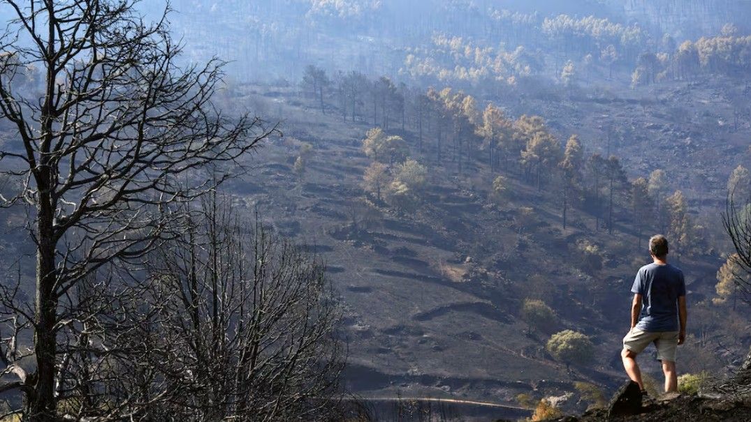 La cuarta ola de calor con hasta 42 ºC acecha ya el leve repliegue de los incendios: "Se van a reproducir seguro"