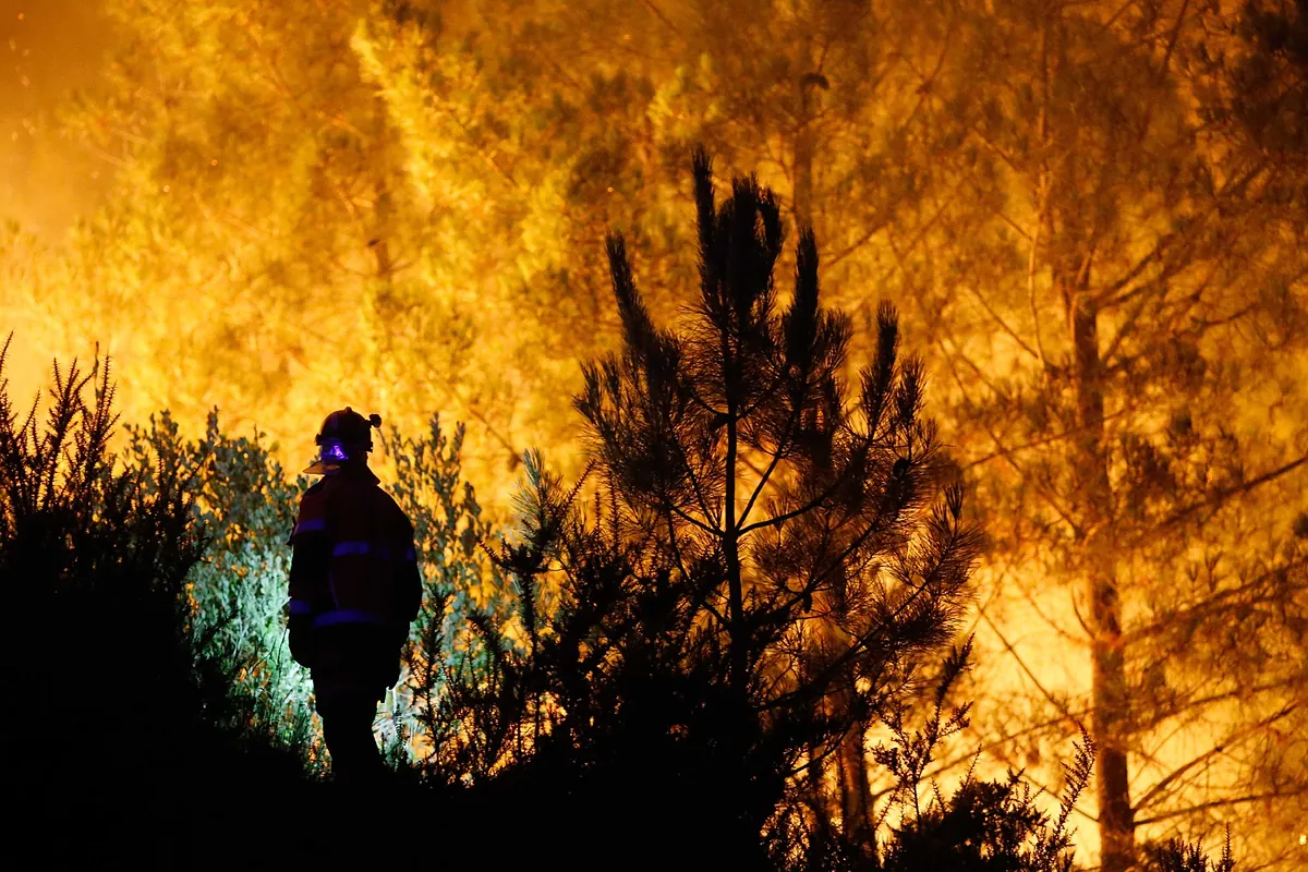 Qué trabajadores y empresas pueden pedir la prestación laboral o el cese de cotizaciones por incendios
