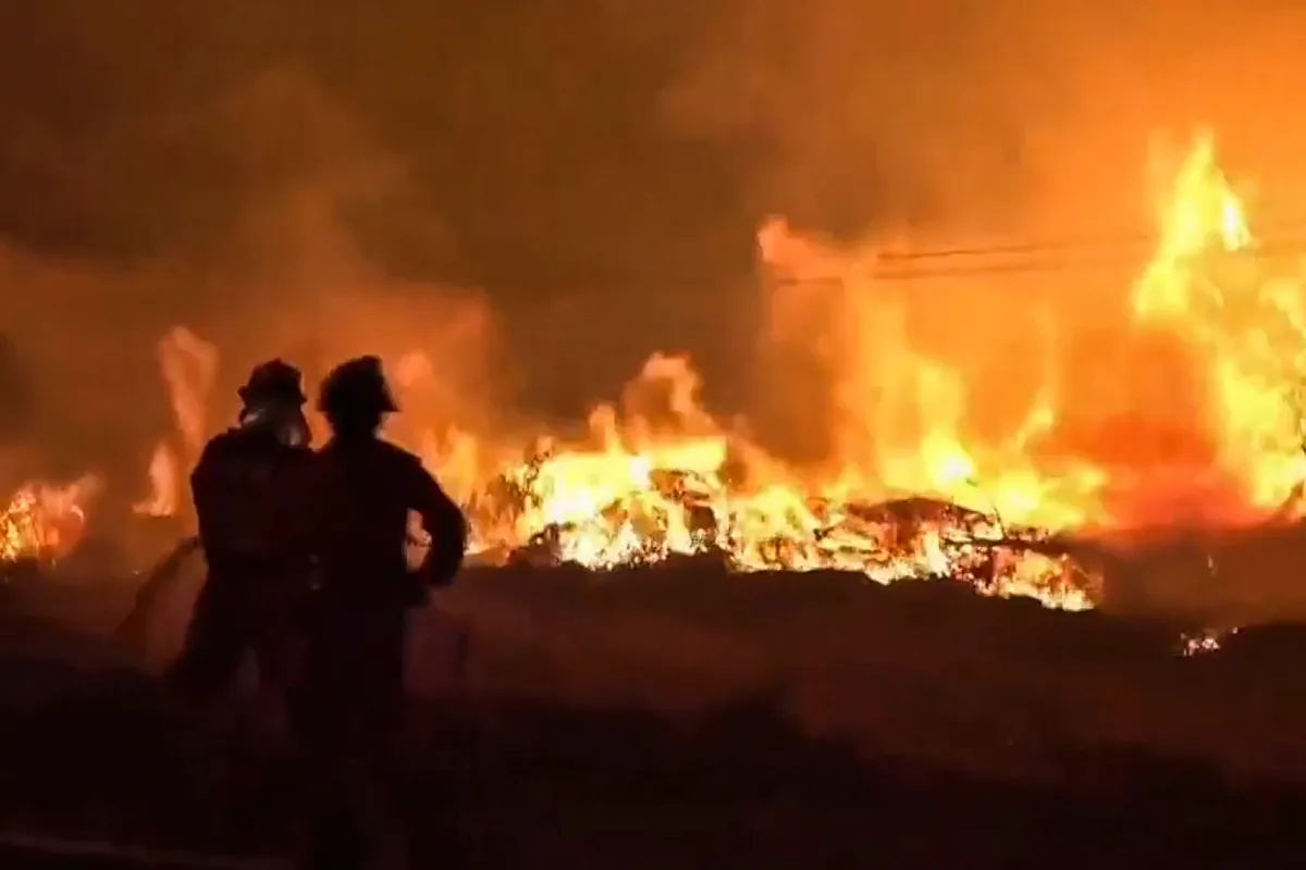 Los incendios forestales entran en un punto de inflexión