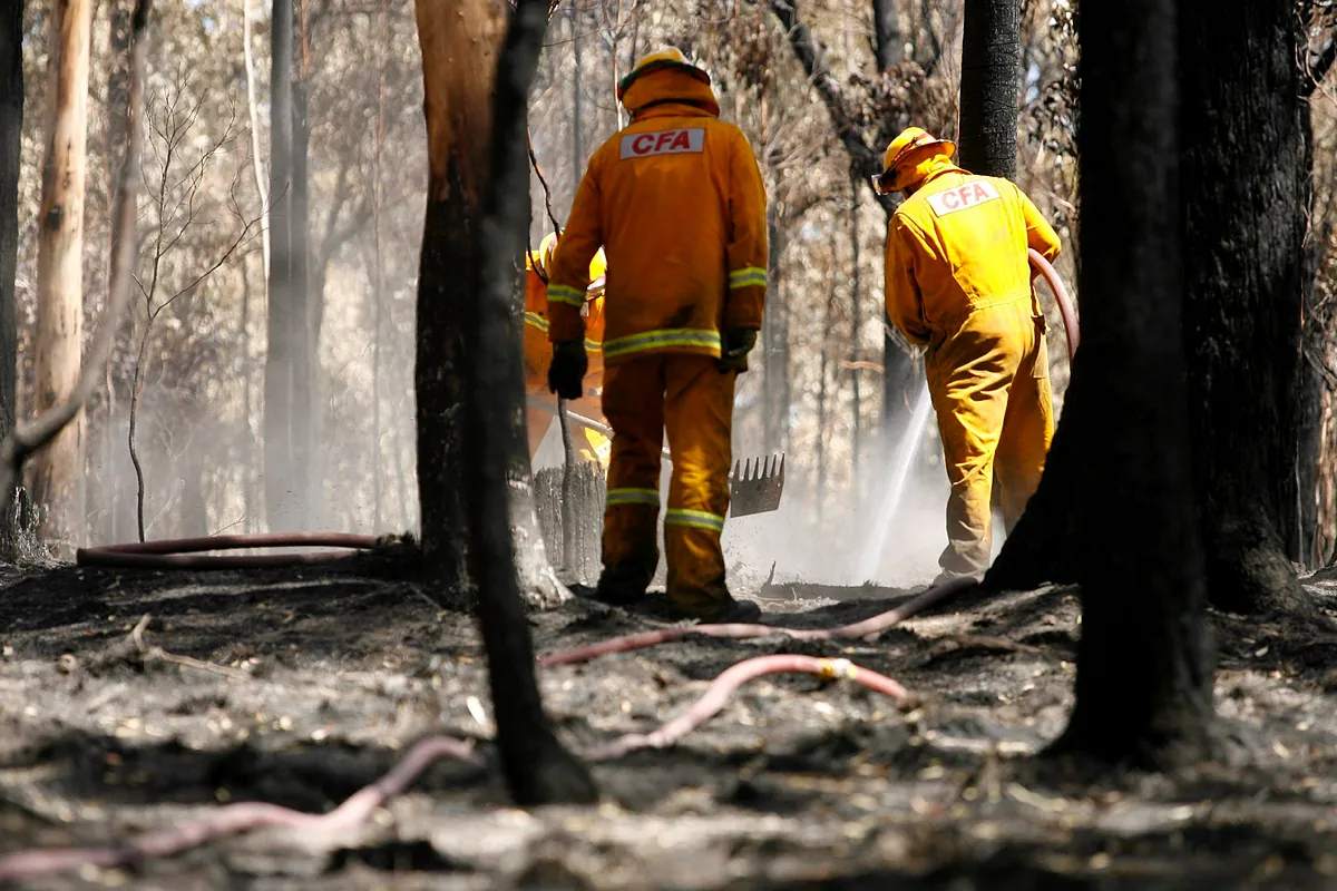 Australia replantea su estrategia contra los incendios forestales después del 'Verano Negro'