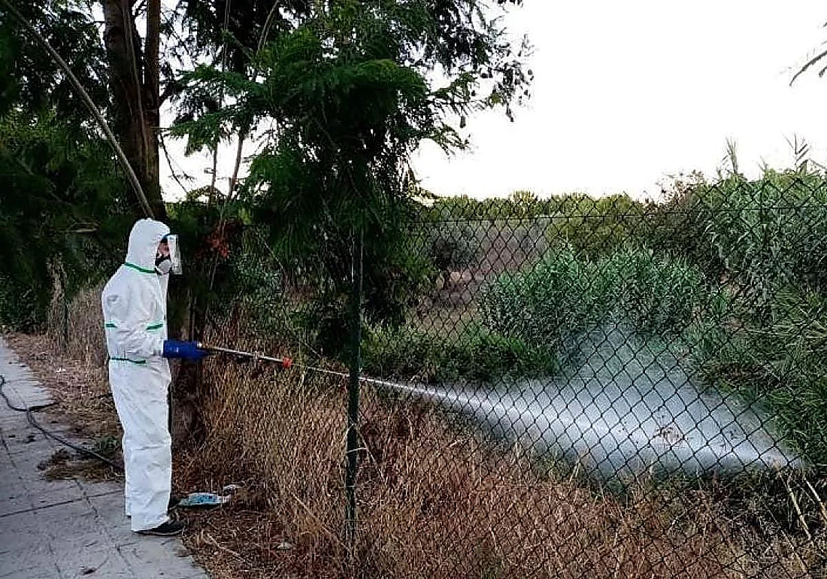 Andalucía advierte de la creciente incidencia de casos de fiebre por el virus del Nilo, con 16 municipios en alerta