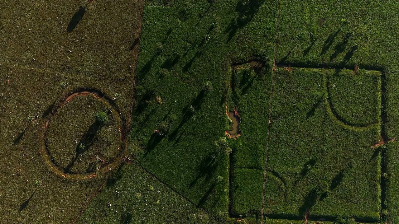 Nueva evidencia sugiere que la Amazonia albergó una civilización antigua de hasta 3 millones de habitantes