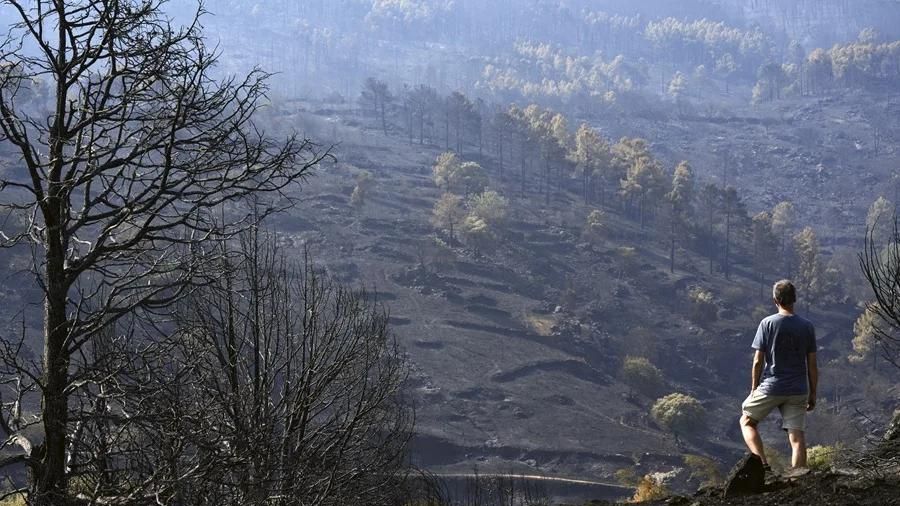 El incendio forestal de Ávila se pudo evitar: "Estaba prohibido y usaron maquinaria con cadenas para abrir un camino"