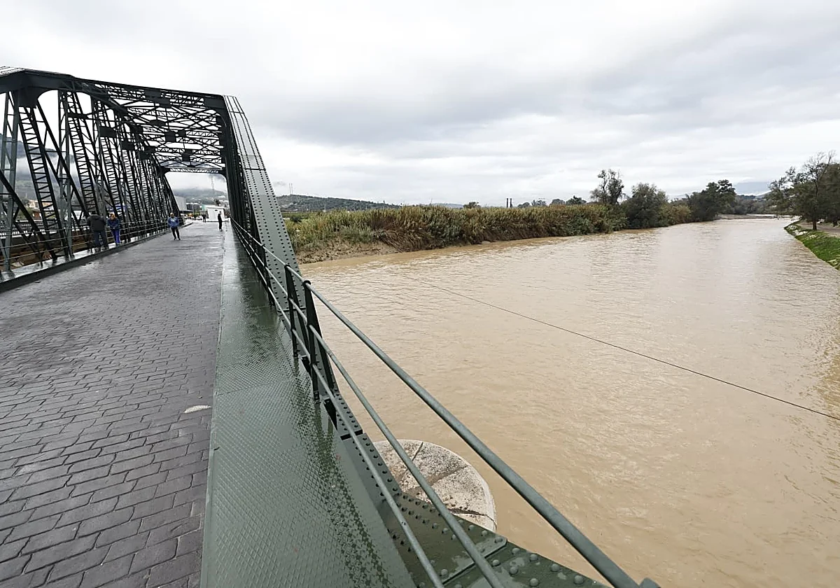 El Guadalhorce, que alcanzó su máximo histórico, vuelve a niveles seguros en Cártama pero entra en alerta en Bobadilla