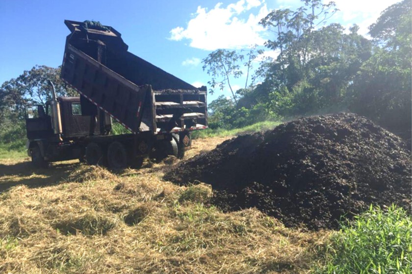 En 2018, cubrieron un páramo de Costa de Rica con 30 camiones cargados de café. Dos años después, el paisaje era irreconocible