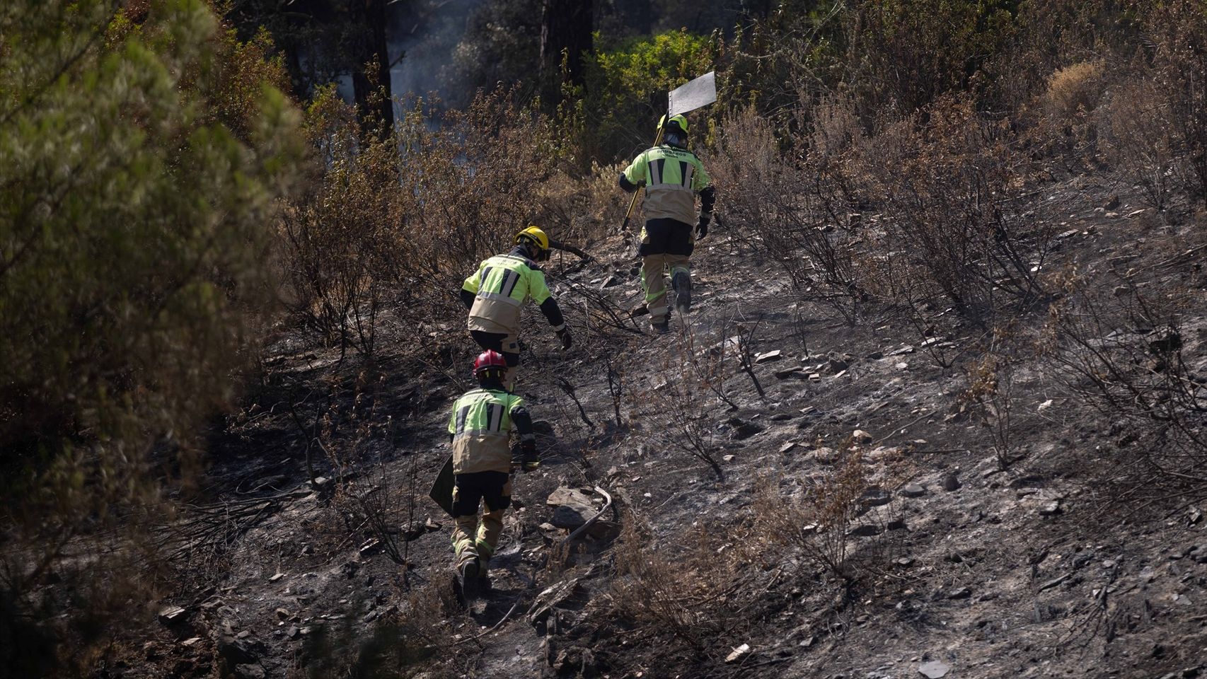 El sistema Copernicus rebaja el incendio de Niebla de 38.000 a 33.000 hectáreas quemadas, el segundo mayor de Andalucía