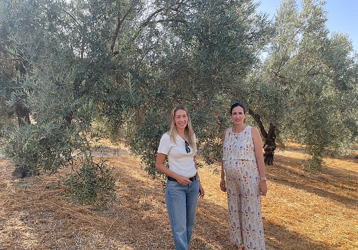 Las ayudas para incorporarse al campo alcanzan a 104 jóvenes en Málaga, un 76% más que en 2018
