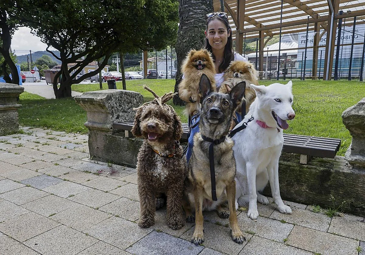 La alternativa a las residencias para mascotas: «Quiero que cuiden de mi perro como yo lo haría»