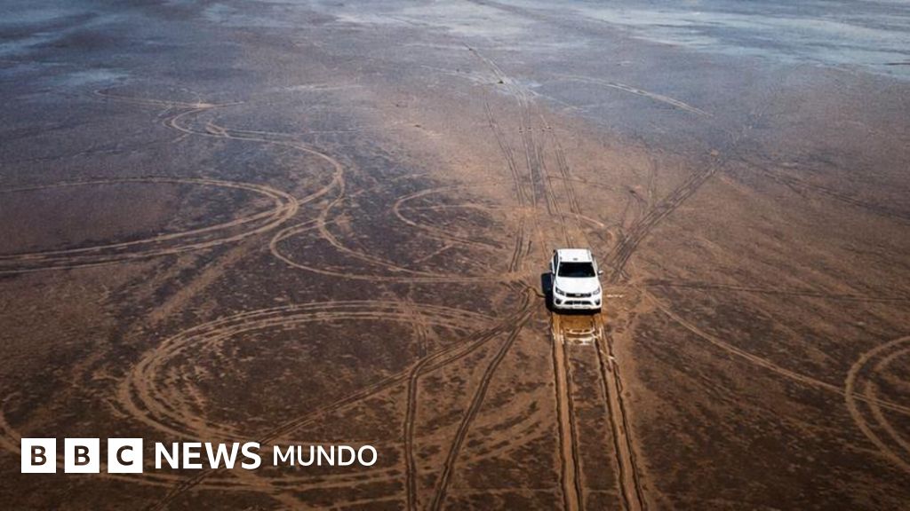 La indignación por el daño que causó un hombre con su camioneta en la Pampa del Leoncito, un ecosistema único de Argentina