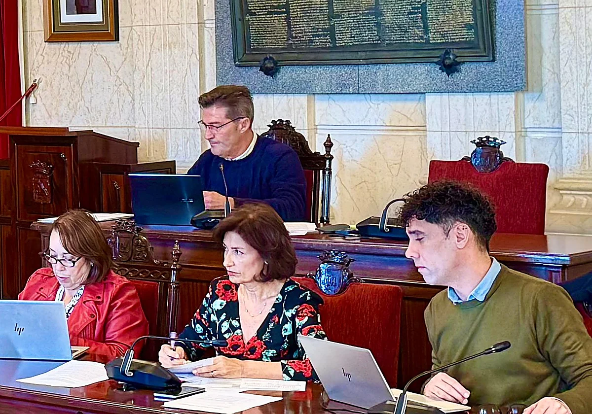 La concejala Rosa del Mar Rodríguez responde a Vox: «¿Todas las denuncias son falsas menos las del PSOE?»