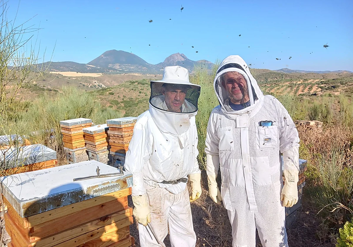 La mejor miel de Andalucía sale de Málaga: «Nuestro trabajo es dejar que las abejas hagan el suyo»