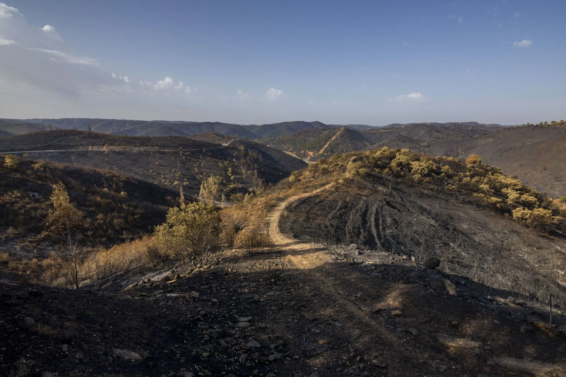 El Plan Infoca da por controlado el incendio de Huelva tras dos semanas de lucha contra el fuego