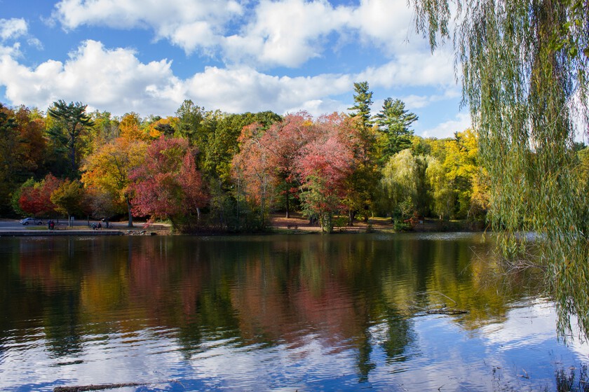 En 2012, Nueva York levantó un parking para descubrir un río enterrado durante décadas. En seis meses, creó un inmenso hábitat acuático