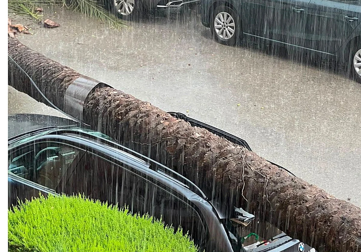 No eran tornados: así se fraguaron los reventones húmedos que recorrieron Valencia