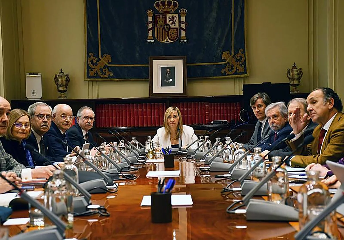 La presidenta del Supremo se reunirá a «la mayor brevedad posible» con Vivas por la crisis migratoria