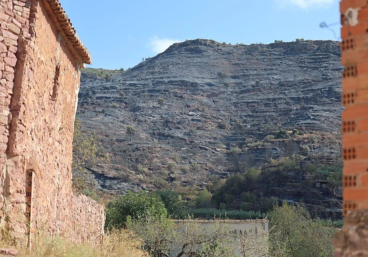 El incendio de Castellón, pendiente de las horas centrales del día