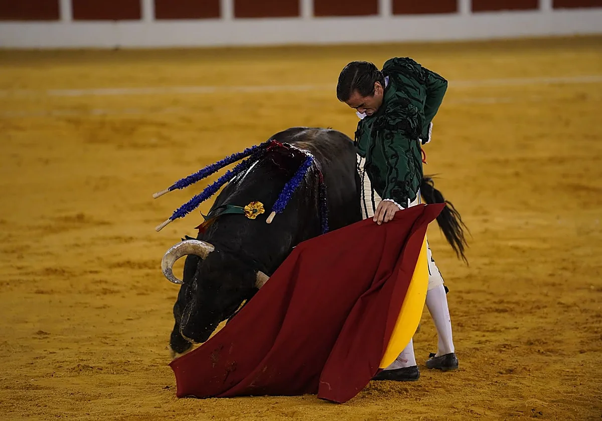 Puerta grande a la torería de Juan Ortega y el valor de David de Miranda en Antequera