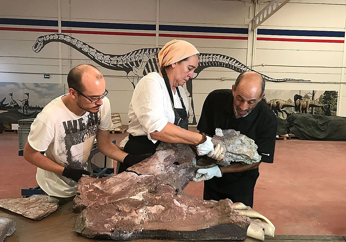 ¿Por qué no había dinosaurios en el Arca de Noé?
