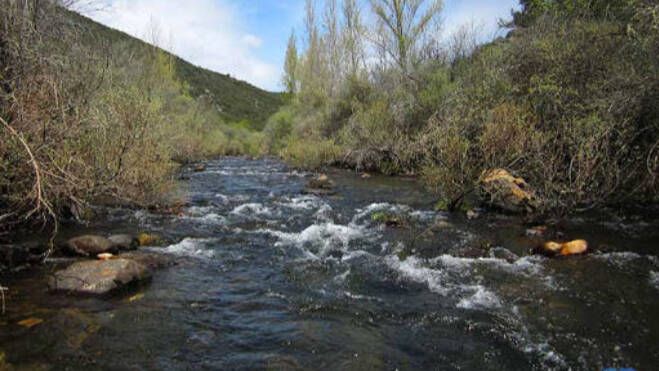 Los ecologistas presentan alegaciones por una petición del Canal de Isabel II que amenaza el agua del Corredor de Henares