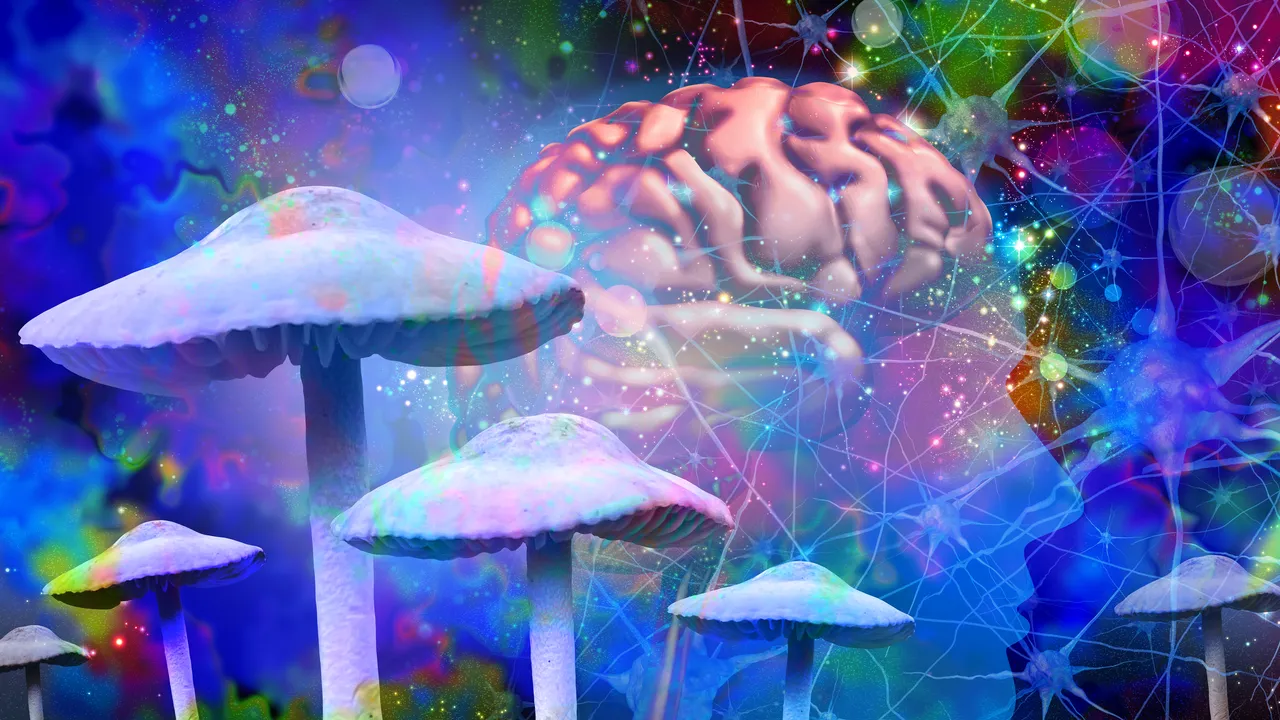 El orden oculto detrás del aparente caos del cerebro bajo psilocibina