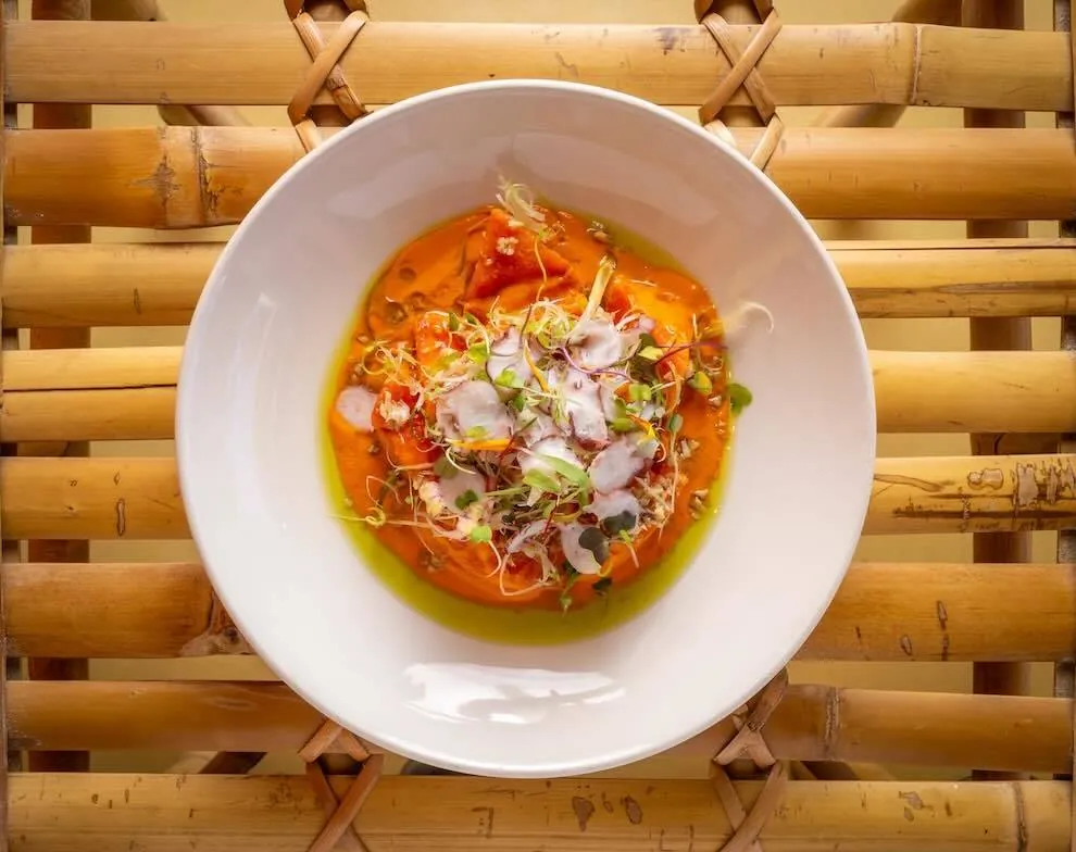 Los 20 mejores restaurantes para comerse Cádiz